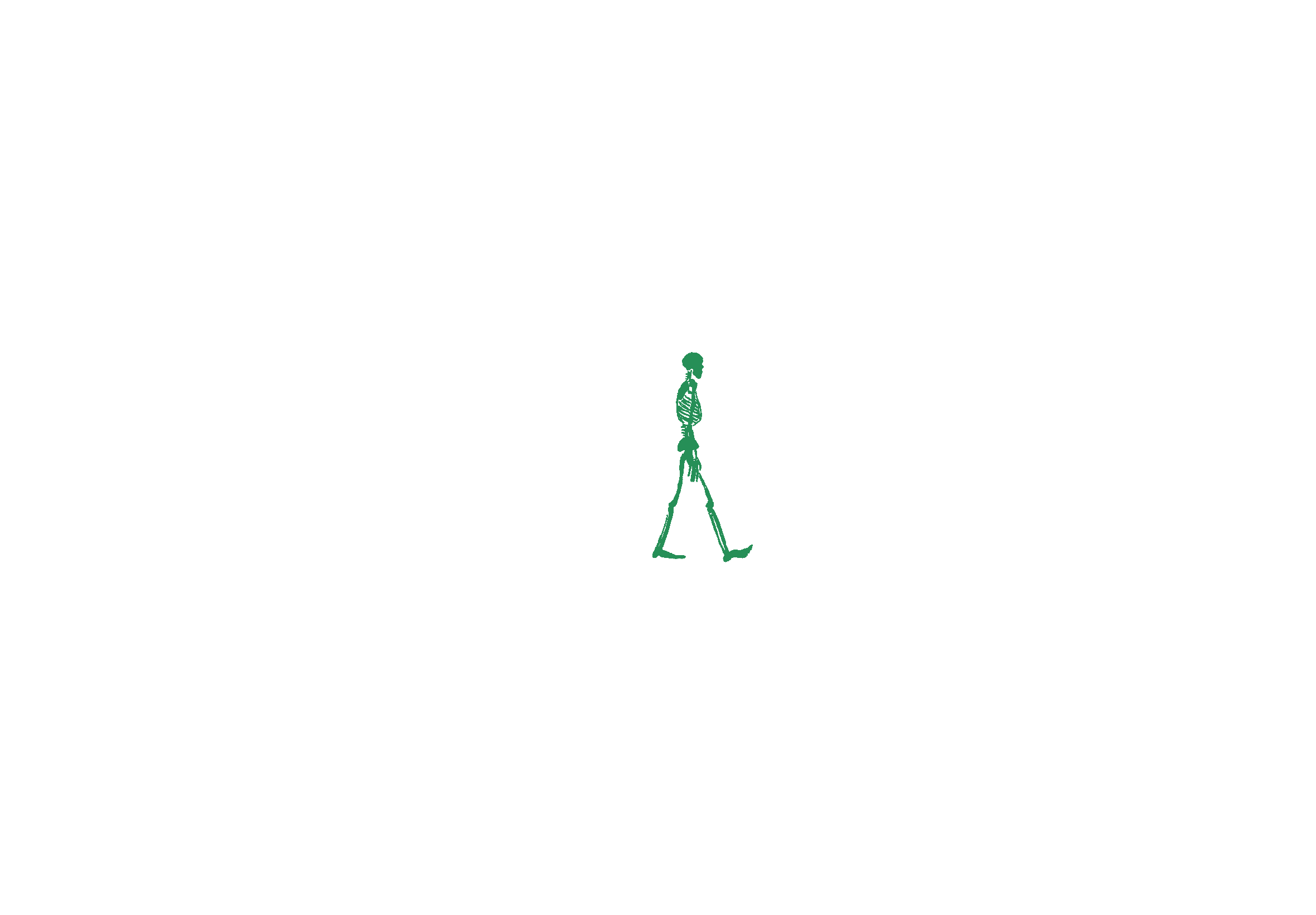 Dynamic animation